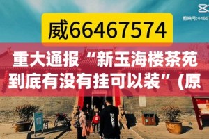 推荐一款“欢乐南通长牌安装挂”2025（果然有挂）