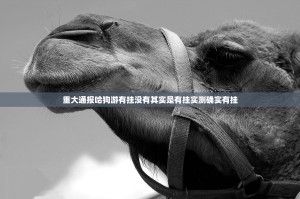 重大通报哈狗游有挂没有其实是有挂实测确实有挂