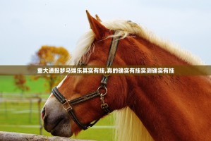 重大通报梦马娱乐其实有挂,真的确实有挂实测确实有挂