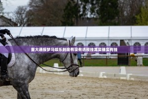 重大通报三三麻将真的可以开挂真的有挂实测确实有挂