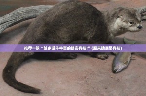 推荐一款闲趣竞技老是输真的有挂!真的确实有挂