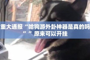 重大通报“哈狗游外卦神器是真的吗””原来可以开挂