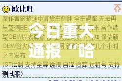 推荐一款拔萝卜到底真的有挂吗真的确实有挂
