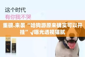 推荐一款荔枝竞技究竟有没有挂!2025（果然有挂）