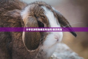 分享实测呗兔确实有挂吗!果然有挂