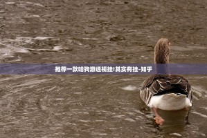 推荐一款哈狗游透视挂!其实有挂-知乎