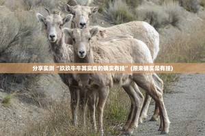 分享实测小闲54棋牌到底能不能开挂(真的有挂)-知乎