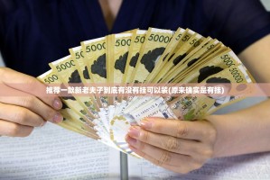 推荐一款新老夫子到底有没有挂可以装(原来确实是有挂)