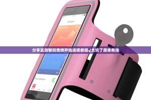 分享实测智玩竞技开挂透视教程√太坑了原来有挂