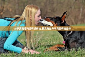 分享实测哈狗游有没有挂,其实有挂分享真的有挂给你
