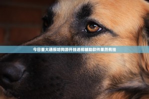今日重大通报哈狗游开挂透视辅助软件果然有挂