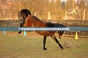 分享实测梦马娱乐其实是有挂的(原来确实是有挂)