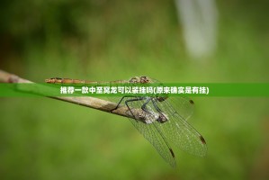 推荐一款中至窝龙可以装挂吗(原来确实是有挂)