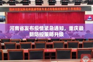 今日重大通报东阳四副牌有没有挂,确实有挂其实确实有挂