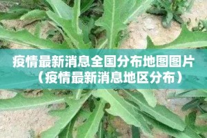 重磅.来袭小乐休闲有挂没2025（果然有挂）