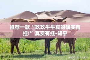 分享实测中至赣牌圈包王外卦神器下载安装真的确实有挂