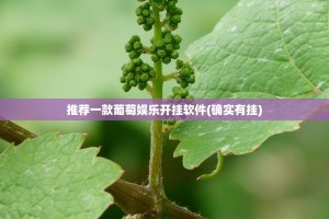推荐一款葡萄娱乐开挂软件(确实有挂)