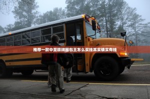 推荐一款中至赣牌圈包王怎么买挂其实确实有挂