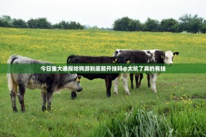 今日重大通报哈狗游到底能开挂吗@太坑了真的有挂