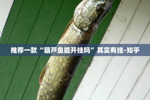 推荐一款“葫芦鱼能开挂吗”其实有挂-知乎