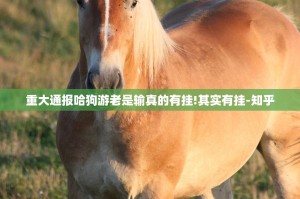 重大通报哈狗游老是输真的有挂!其实有挂-知乎