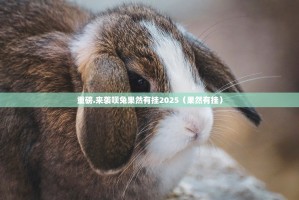 重磅.来袭呗兔果然有挂2025（果然有挂）