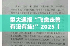 重大通报“飞禽走兽有没有挂!”2025（果然有挂）