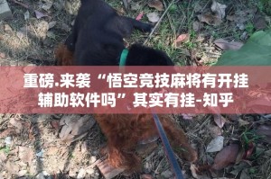 重磅.来袭“悟空竞技麻将有开挂辅助软件吗”其实有挂-知乎