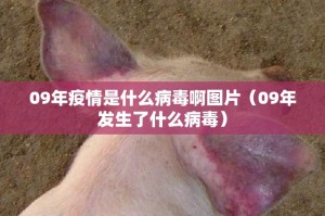 重大通报“小吆三打哈到底可以开挂吗!开挂教程步骤”原来可以开挂