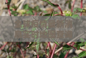 今日重大通报咪咪扑克开挂神器!详细开挂教程√其实是有挂