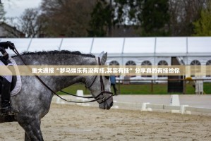 重大通报“梦马娱乐有没有挂,其实有挂”分享真的有挂给你
