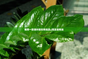 推荐一款湘叶娱乐有挂没√其实是有挂