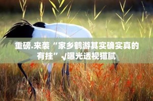 分享实测家乡鹤游如何开挂！详细开挂教程2025（果然有挂）