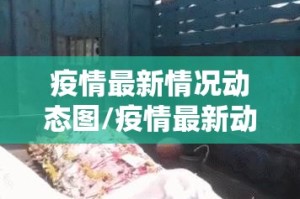 疫情最新情况动态图/疫情最新动态数据图