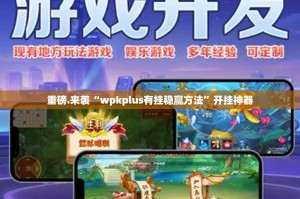重磅.来袭“wpkplus有挂稳赢方法”开挂神器