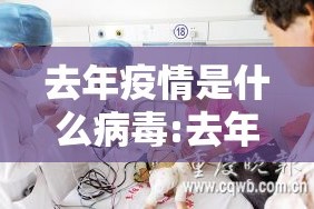 去年疫情是什么病毒:去年疫情是什么地方