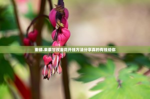 分享实测新玄龙确实有挂可以开挂分享真的有挂给你