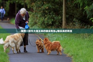 推荐一款牛大魔王真的确实有挂√确实真的有挂