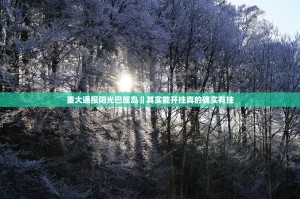 重大通报阳光巴厘岛‖其实能开挂真的确实有挂