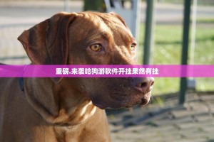 重磅.来袭哈狗游软件开挂果然有挂