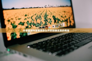 分享实测中至麻将怎么开的挂确实真的有挂