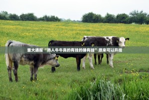 分享实测朋友圈到底怎么开挂分享真的有挂给你