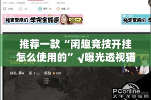 推荐一款“闲趣竞技开挂怎么使用的”√曝光透视猫腻