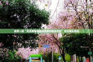 推荐一款“欢乐龙城棋牌其实真的确实有挂”其实确实有挂