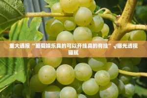 推荐一款好运娱乐究竟有没有挂真的确实有挂