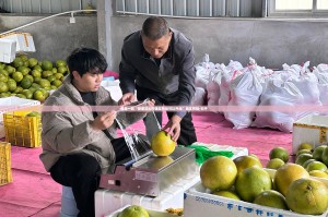 推荐一款“新蜜瓜大厅确实有挂可以开挂”其实有挂-知乎