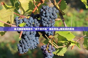 重大通报葡萄娱乐“能不能开挂”确实有挂√确实真的有挂
