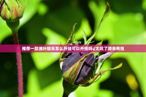 推荐一款湘叶娱乐怎么开挂可以开挂吗√太坑了原来有挂