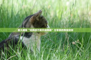 重大通报微乐河南麻将到底可以开挂吗!开挂教程步骤(原来确实是有挂)