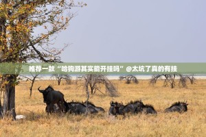 重磅.来袭粤友圈其实确实真的有挂真的确实有挂